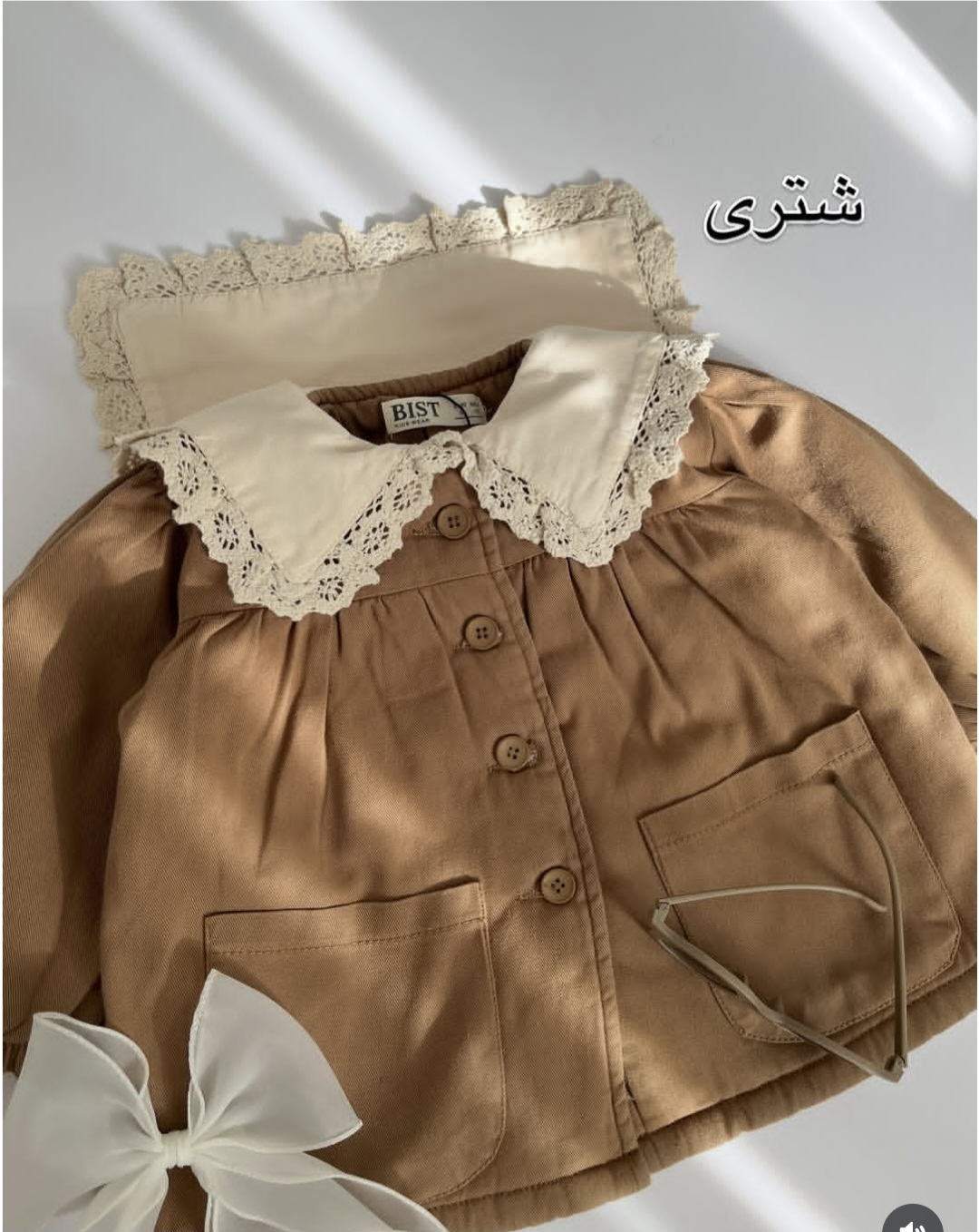 پالتو خزدار